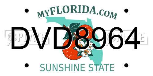 DVD8964 Florida License Plate