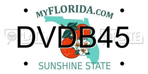 DVDB45 Florida License Plate