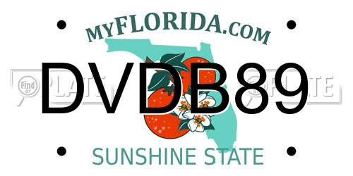 DVDB89 Florida License Plate
