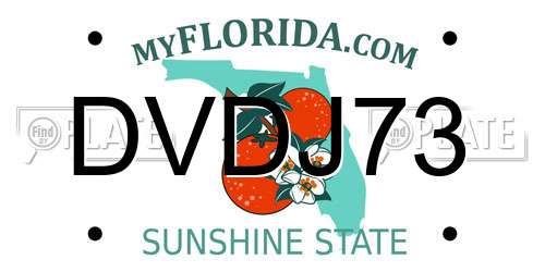 DVDJ73 Florida License Plate