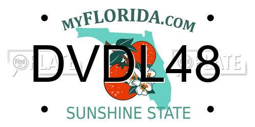 DVDL48 Florida License Plate