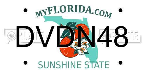 DVDN48 Florida License Plate