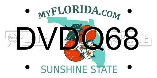 DVDQ68 Florida License Plate