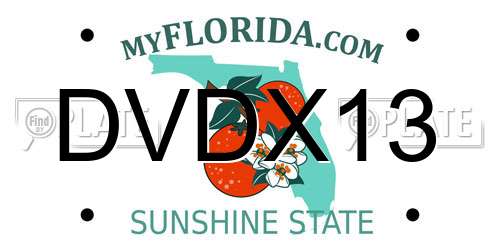 DVDX13 Florida License Plate