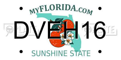 DVEH16 Florida License Plate