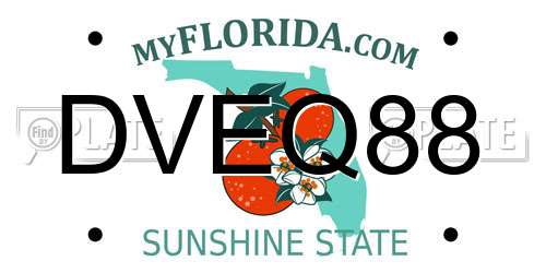DVEQ88 Florida License Plate