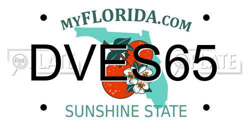 DVES65 Florida License Plate