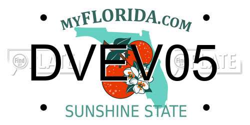 DVEV05 Florida License Plate