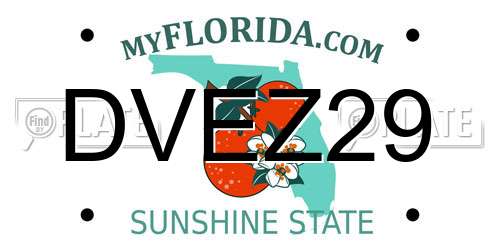 DVEZ29 Florida License Plate