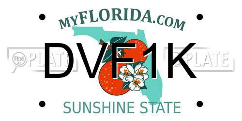 DVF1K Florida License Plate