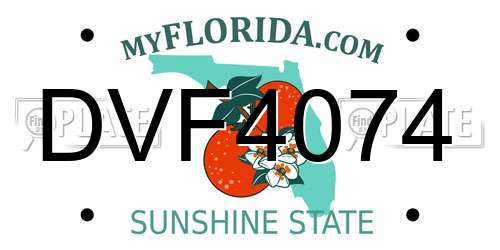 DVF4074 Florida License Plate