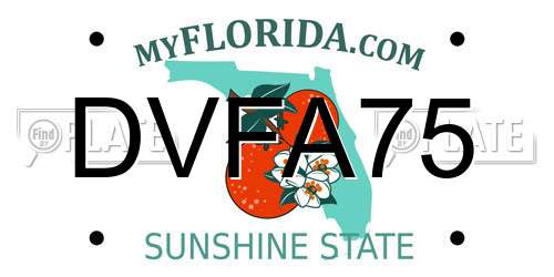 DVFA75 Florida License Plate