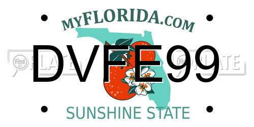 DVFE99 Florida License Plate