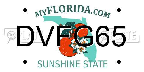 DVFG65 Florida License Plate