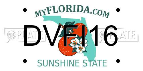 DVFI16 Florida License Plate