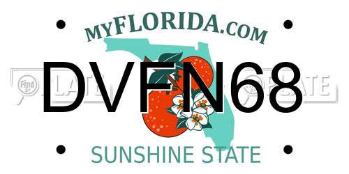 DVFN68 Florida License Plate