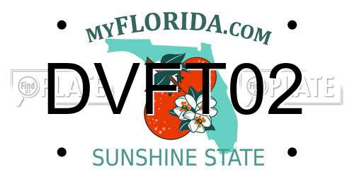 DVFT02 Florida License Plate