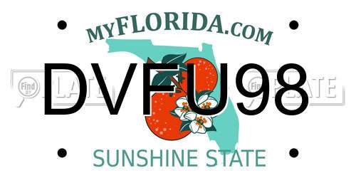 DVFU98 Florida License Plate