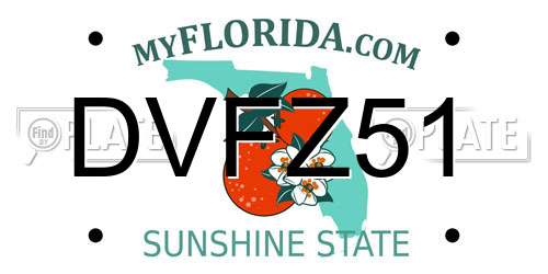 DVFZ51 Florida License Plate