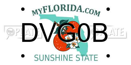 DVG0B Florida License Plate