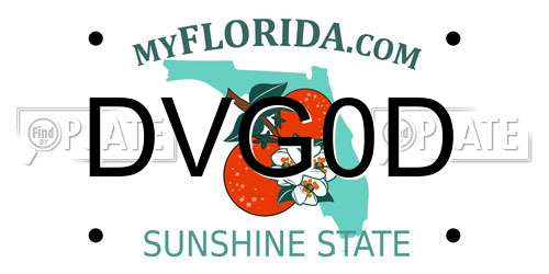 DVG0D Florida License Plate