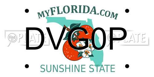DVG0P Florida License Plate