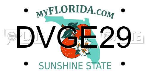 DVGE29 Florida License Plate