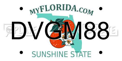 DVGM88 Florida License Plate