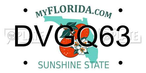 DVGQ63 Florida License Plate