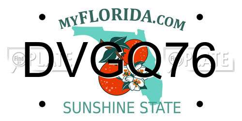 DVGQ76 Florida License Plate