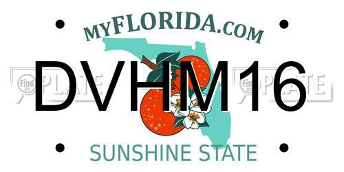 DVHM16 Florida License Plate