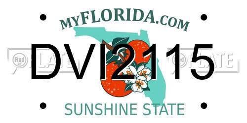 DVI2115 Florida License Plate