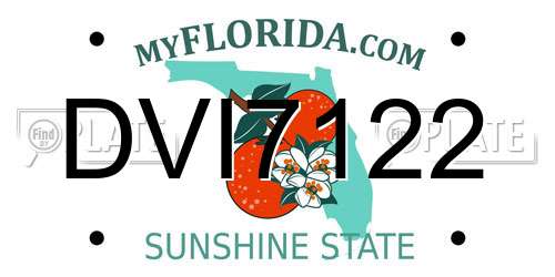 DVI7122 Florida License Plate