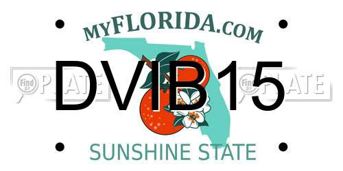 DVIB15 Florida License Plate