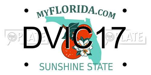 DVIC17 Florida License Plate