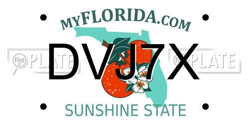 DVJ7X Florida License Plate