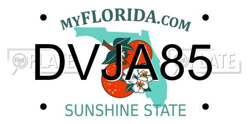 DVJA85 Florida License Plate