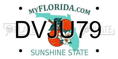 DVJU79 Florida License Plate