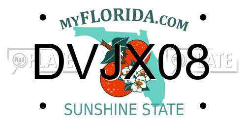 DVJX08 Florida License Plate