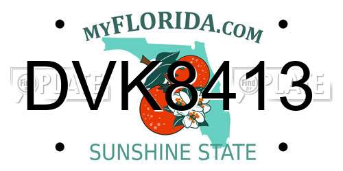 DVK8413 Florida License Plate