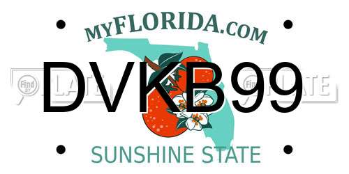 DVKB99 Florida License Plate