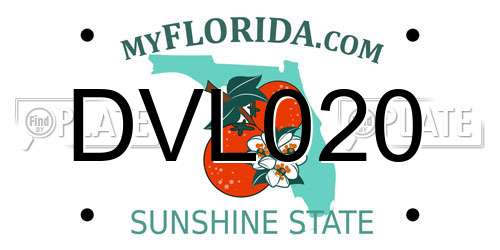 DVL020 Florida License Plate