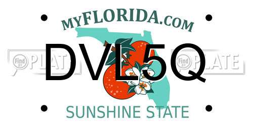DVL5Q Florida License Plate