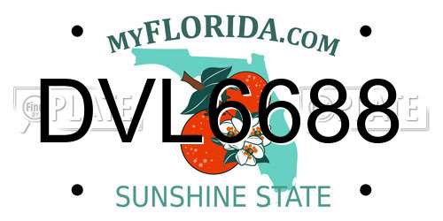 DVL6688 Florida License Plate
