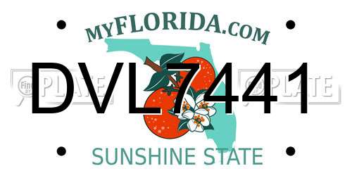 DVL7441 Florida License Plate