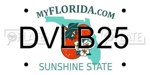 DVLB25 Florida License Plate