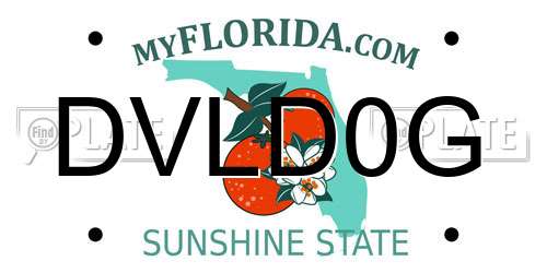 DVLD0G Florida License Plate