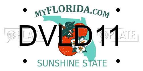 DVLD11 Florida License Plate
