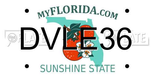 DVLE36 Florida License Plate