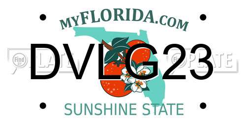 DVLG23 Florida License Plate